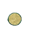 DSC08937.webp