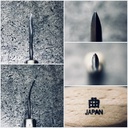 日本曲錐