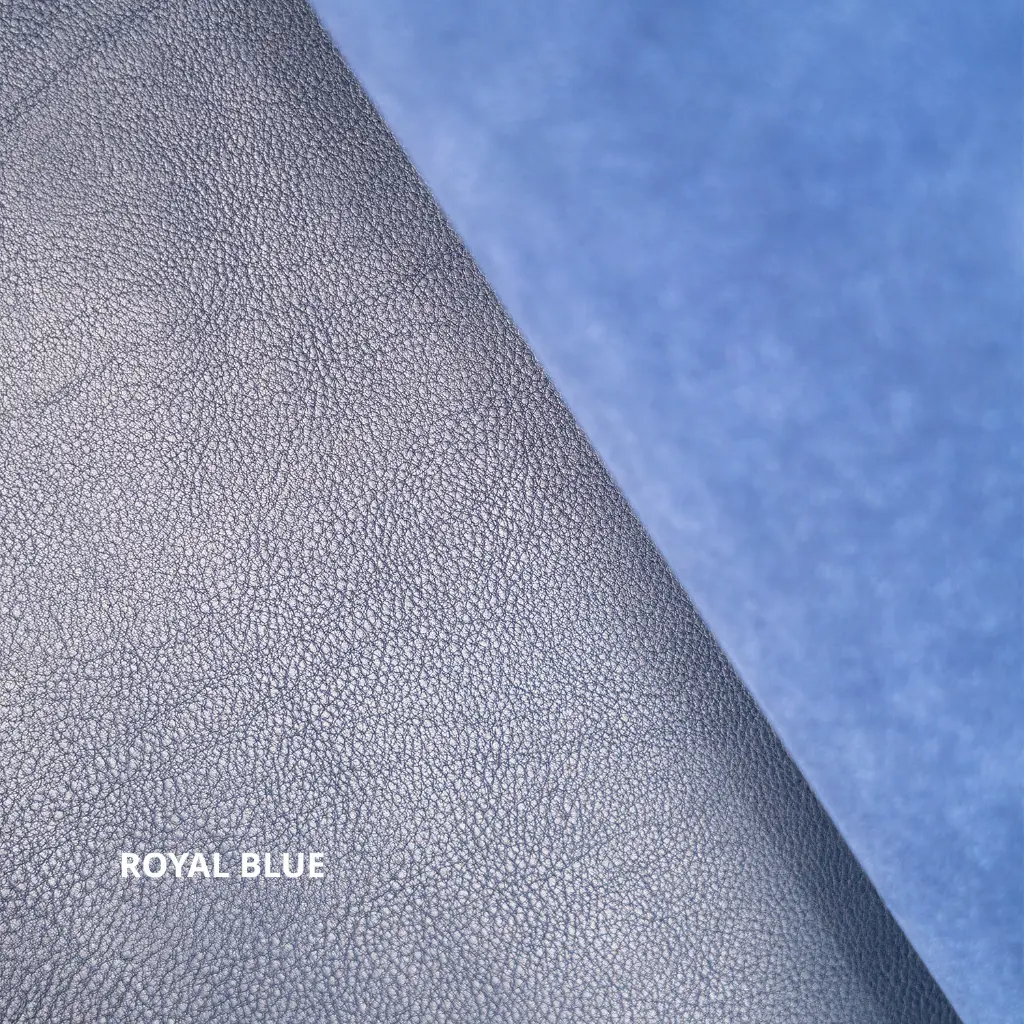 KOALA color ROYAL BLUE.webp