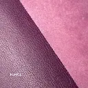 KOALA color purple.webp