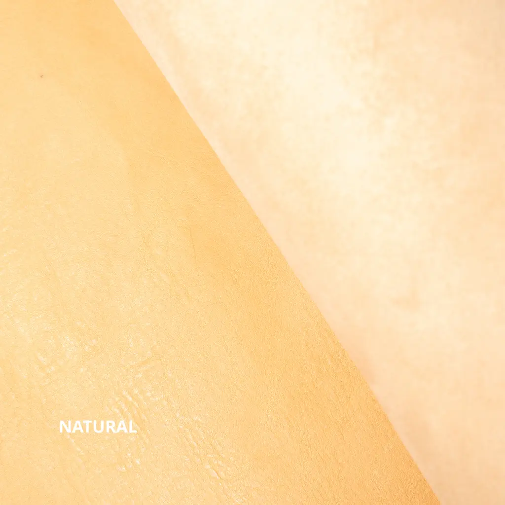 KOALA color Natural.webp