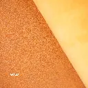 KOALA color Gold.webp
