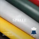 意大利Conceria Dea Pel S.R.L Spalle 双肩皮革 Sqf.